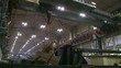 Industrial plant, the enterprise. Industrial plant, the enterprise.