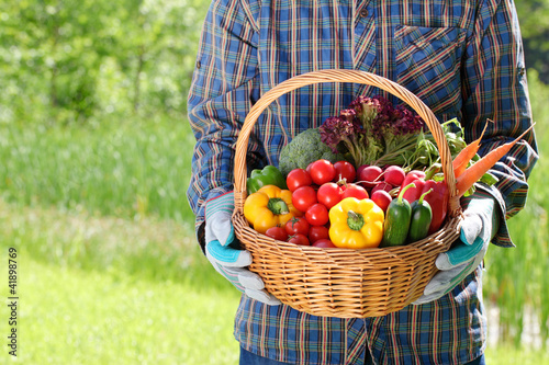 Foto: Man hands holding a basket full of vegetables Man hands holding a basket full of vegetables