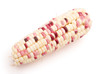 colorful corn with clipping path colorful corn with clipping path