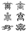 Turtle Tattoo