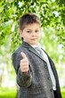 The Boy in the birch forest