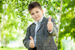 The Boy in the birch forest