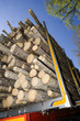 Loaded Timber