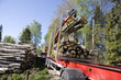 Loading Timber