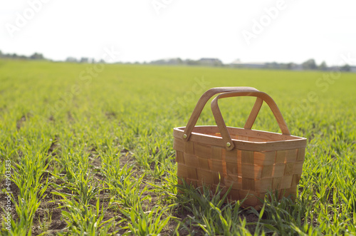Photo: basket on a field basket on a field