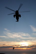 RAF Seaking
