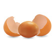 broken and full eggs
