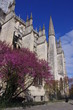 Cathédrale de Bourges