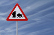 Bearish or Bullish?