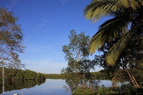 Photo: Guyane - Montsinéry - Fleuve Guyane - Montsinéry - Fleuve