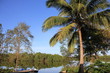 Guyane - Montsinéry - Fleuve