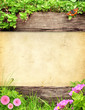 Foto: Summer background Summer background