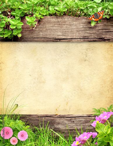Foto: Summer background Summer background