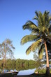 Guyane - Montsinéry - Fleuve