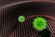 Infected with vector