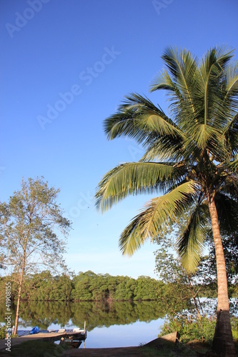 Foto: Guyane - Montsinéry - Fleuve Guyane - Montsinéry - Fleuve