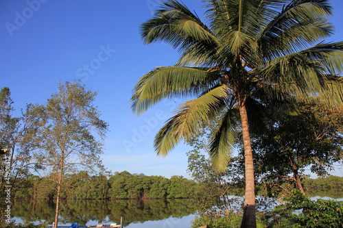 Foto: Guyane - Montsinéry - Fleuve Guyane - Montsinéry - Fleuve