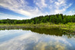 Beautiful Irish forest reflected in the lake Beautiful Irish forest reflected in the lake