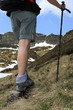 Randonnée en montagne
