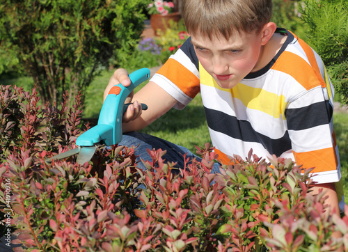 Foto: Boy cutting a bush Boy cutting a bush