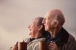 Relaxed Senior Couple
