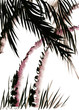 Painted landscape with palm trees in the style of Wu Xing