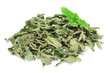 Menthe sèche