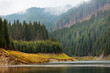 Lake Galbenu in Romania
