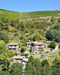 Terraced Vineyards of Malevall France