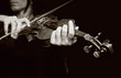 Photo: Musician playing violin Musician playing violin