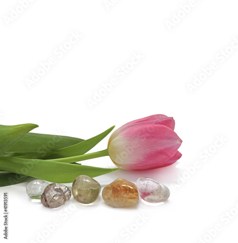 Photo: Tulip lying next to healing stones Tulip lying next to healing stones