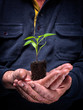 Photo: My Hope My Hope