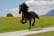 Friese