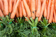 carrots