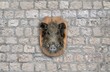 wild boar head on stone wall