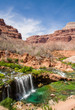 Desert Oasis - Havasu