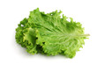 Lettuce