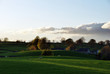 Sheep grazing near a farmhouse Sheep grazing near a farmhouse