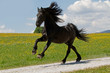 Friese