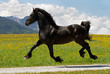 Friese