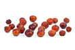 Herbs: Dried red juniper (Juniperus oxycedrus) berries