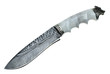 Knife on a white background
