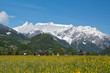 Frühling in den Bergen