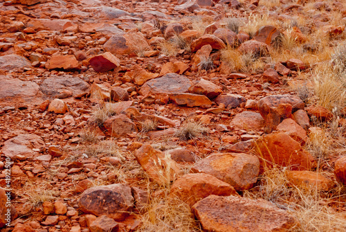 Photo: Wild nature near Ayers Rock (Uluru), Australia Wild nature near Ayers Rock (Uluru), Australia