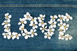 Word love made from flowers