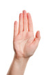 Woman palm