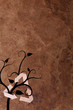 Old brown parer background with recycle sign and plant Old brown parer background with recycle sign and plant
