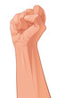 Fist