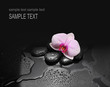 black stones and orchid with water drops