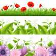 Borders With Flowers And Grass